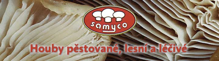 http://www.samyco.cz/