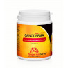 Ganoderma, Duanwood Red Reishi, Extrakt 40 % polysacharidů, 90 kapsl&iacute;