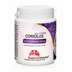 Coriolus Versicolor Extrakt 500 mg, 90 kapslí