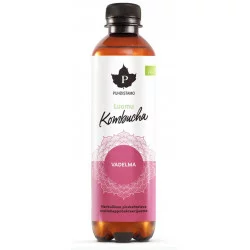 Kombucha BIO 400 ml Malina