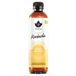 Kombucha BIO 370ml Kombucha BIO 370ml zázvor-citrón