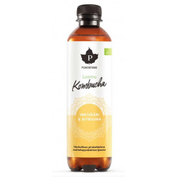 Kombucha BIO 400ml zázvor-citrón