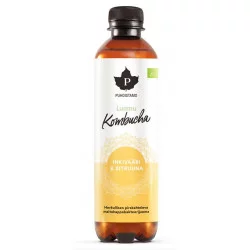 Kombucha BIO 400ml zázvor-citrón