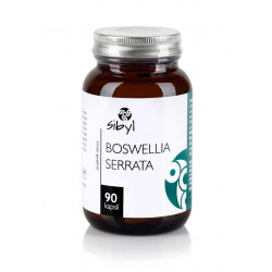 Boswellia serrata 400 mg (Pryskyřice kadidlovníku), 90 kapslí