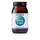 Olive Leaf, extrakt z listů, 90 kapslí