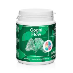 Cogni Flow Ginkgo biloba Phytosome 90 kapslí