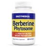 Berberine Phytosome 275 mg, 60 kapslí