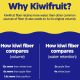 Kiwi Regularity, 30 žvýkacích tablet