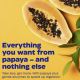 Papaya Complete 120 tablet