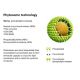 Curcumin Phytosome® 90 kapslí