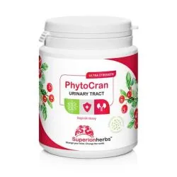 Brusinka komplex PhytoCran Phytosome® 90 kapslí