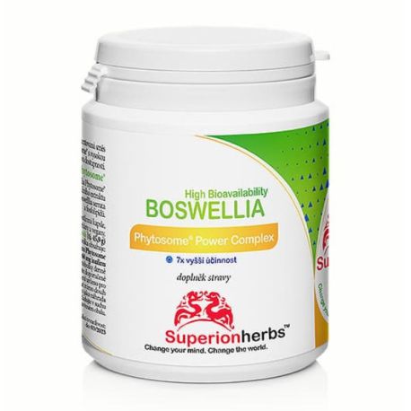 Boswellia Phytosome® 350 mg, 90 kapslí