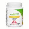 Boswellia Phytosome® 350 mg, 90 kapslí