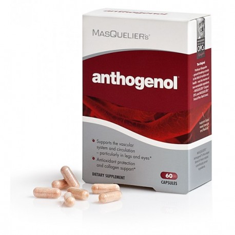 Anthogenol přírodní antioxidant 60 kapslí
