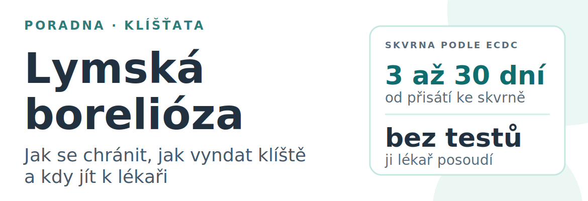 Neviditelný nepřítel v trávě: Vše o lymské borelióze, co potřebujete vědět