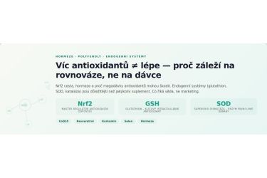 T&eacute;měř v&scaron;e o antioxidantech