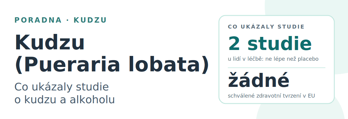 Kudzu (Pueraria lobata) Od tradiční čínské medicíny k moderním klinickým studiím