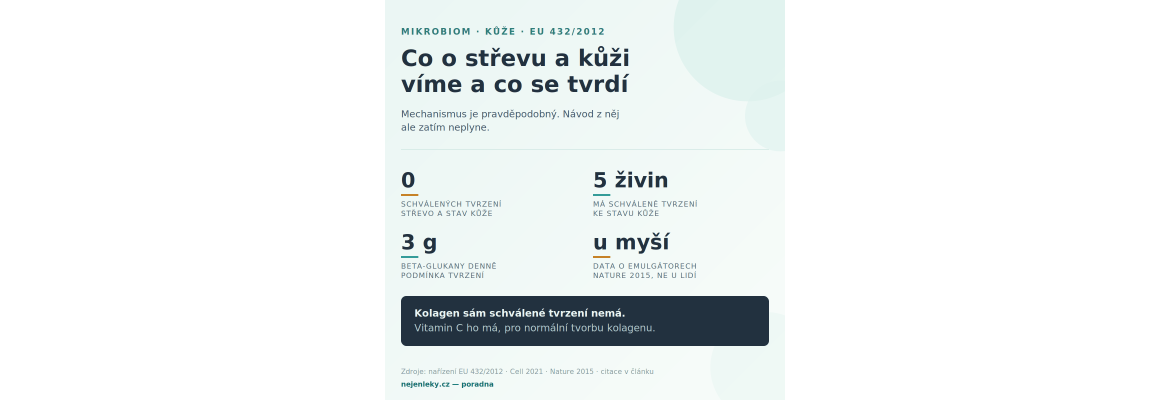 Krásná kůže začíná ve střevě