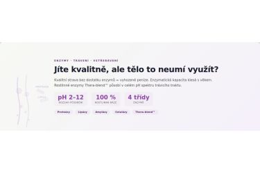 Tr&aacute;vic&iacute; enzymy: Lijete pr&eacute;miov&yacute; benz&iacute;n do auta s ucpan&yacute;m filtrem?