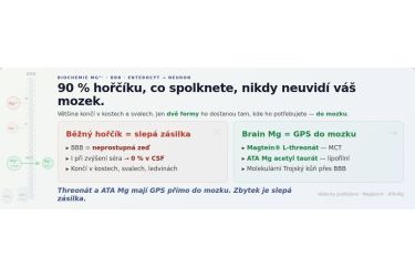 Hořč&iacute;k v těle: co skutečně rozhoduje o tom, kam se po spolknut&iacute; dostane.