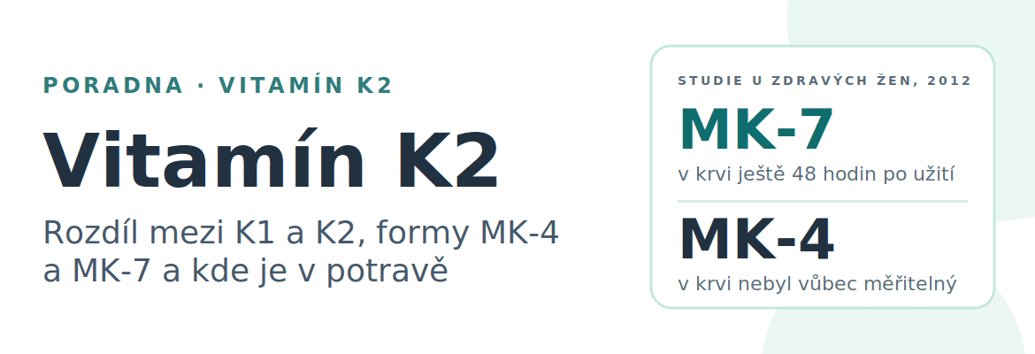 Vitamín K2: rozdíl mezi K1 a K2, formy MK-4 a MK-7 a kde je v potravě
