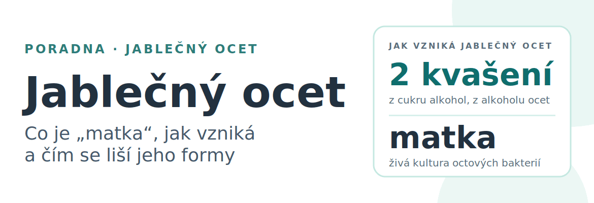 Jablečný ocet: co je „matka", jak vzniká a jaký je rozdíl mezi tekutým, kapslemi a gummies