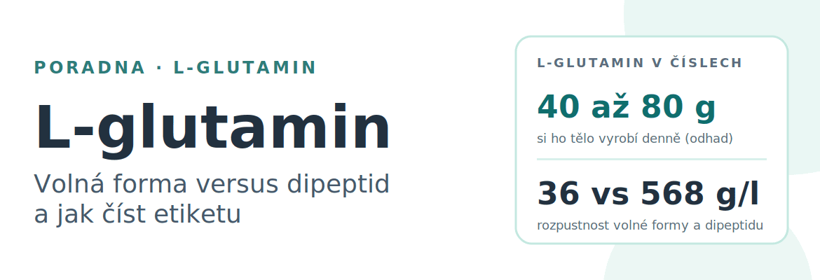 L-glutamin: co to je, volná forma versus dipeptid a jak číst etiketu