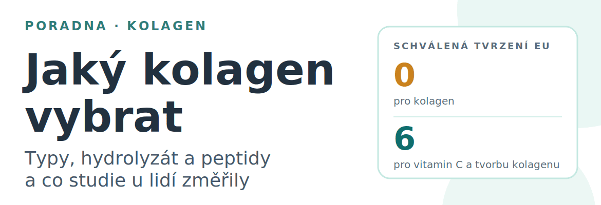 Jaký kolagen vybrat: hovězí, nebo rybí, typ I, II a III, hydrolyzát a peptidy. Co studie u lidí změřily a proč EU kolagenu neschválila žádné tvrzení.