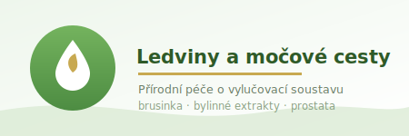 Ledviny a močové cesty