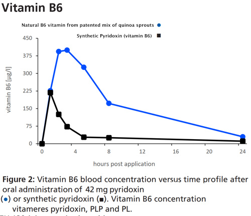 B6 vitamin test pharmacokinetic study