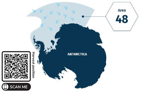 antarctica