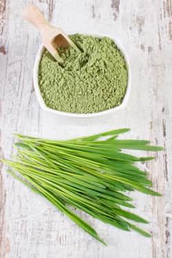 barley grass powder