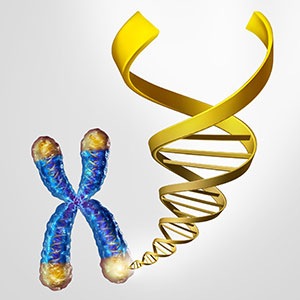 telomery DNA