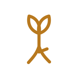 Adaptogeny