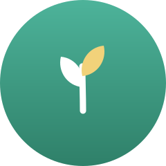 Detoxikace a Vitalita