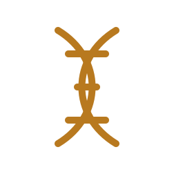Kolagen